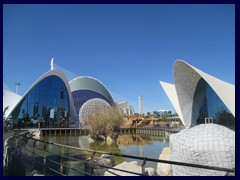 L'Oceanogràfic Oceanarium 130